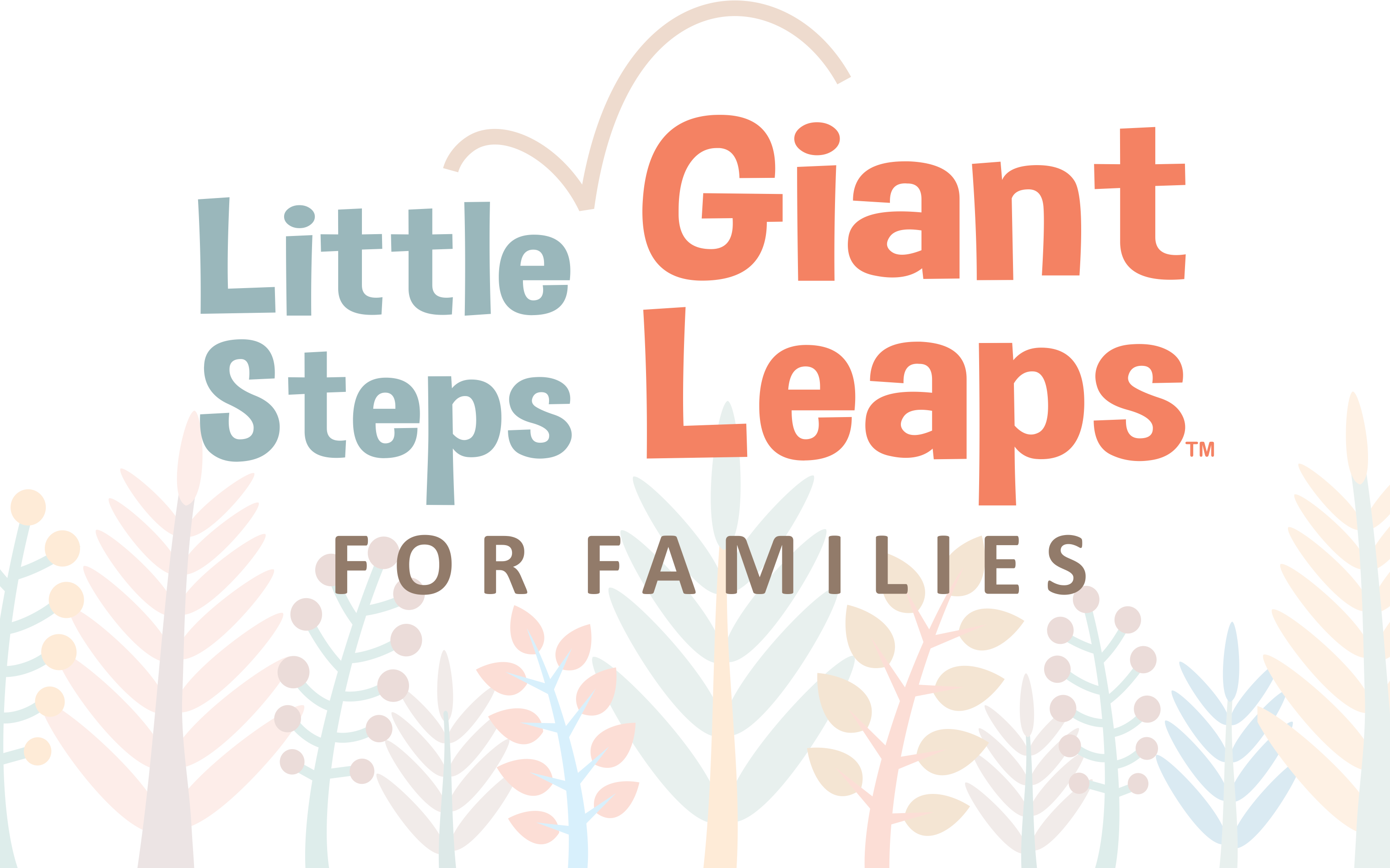 Little Steps Giant Leaps